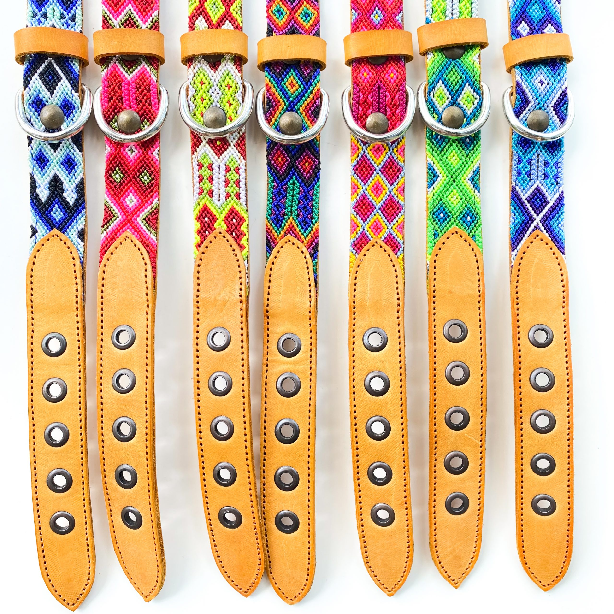 Collar de perro talle S - Imagen 3